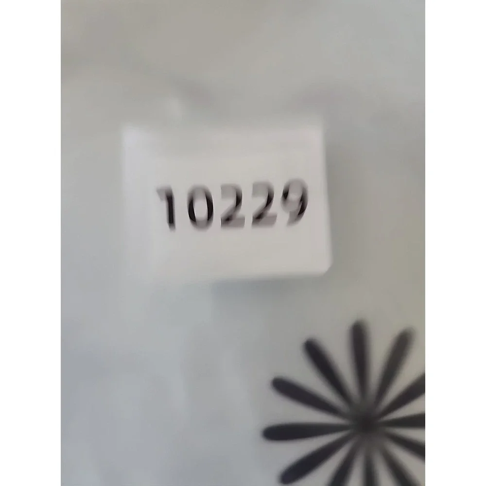 Crate & Barrel Black & White Starburst Flower Dinner Plate Set of 2